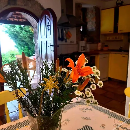 Kuca Kata - Nono Holiday home Veprinac